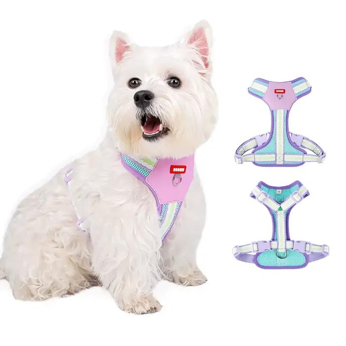 Harnais bloc de couleur pour petits chiens, marche, maille Corgi respirante, collier pour animaux de