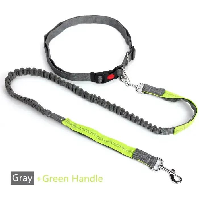 Laisse rétractable pour chien avec corde de taille réglable, main libre, course à pied, Jogging, cyc