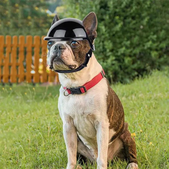Casque de sécurité Cool pour chiens de petite et moyenne taille, bouledogue français Doberman Pinsch
