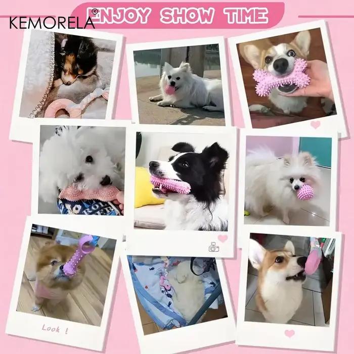 Jouets à mâcher pour chiens, 6 pièces, pour nettoyer les dents, os en caoutchouc souple, boule amusa
