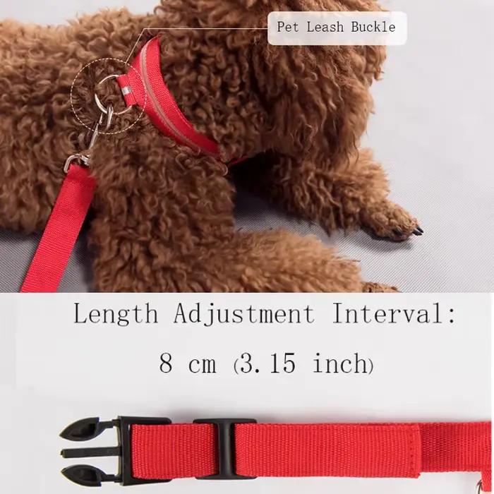 Collier pour chien lumière LED électronique sécurité nocturne Anti-perte Nylon réglable lumineux col