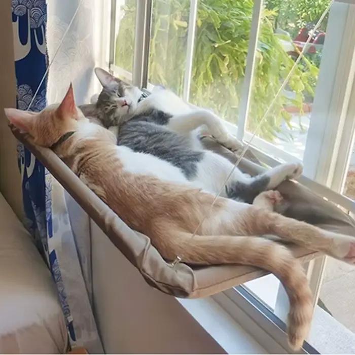 Hamac pour animaux de compagnie, lit aérien suspendu pour chat, maison pour chaton, cadre d'escalade