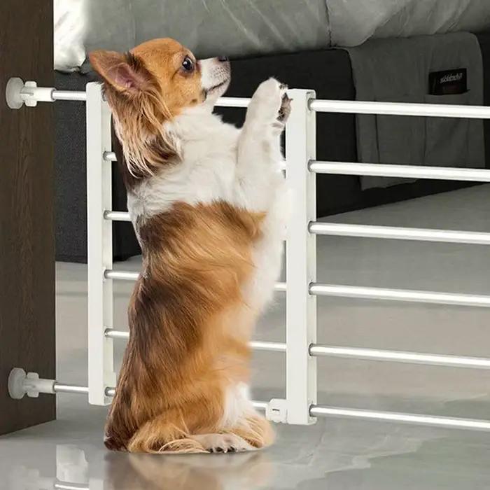 Porte intérieure pour chien, clôture autoportante rétractable, sans clous, porte réutilisable pour p