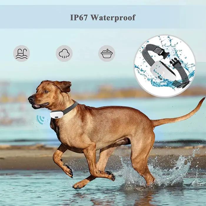 Collier Anti-aboiement pour chien, choc électrique, son de Vibration avec LED pour petits et grands