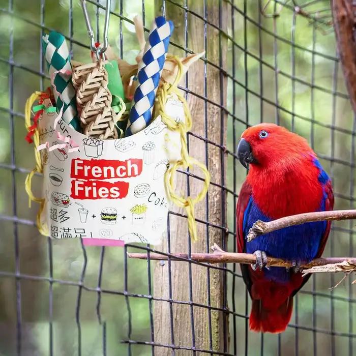 Jouets à mâcher colorés pour perroquets, tasse à oiseaux naturelle, jouets à mâcher pour perruches,