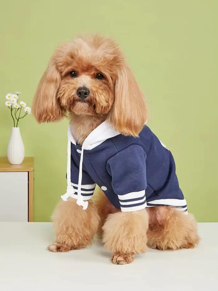 Vêtements pour animaux de compagnie chien chat avec chapeau veste vêtements chauds et confortables a