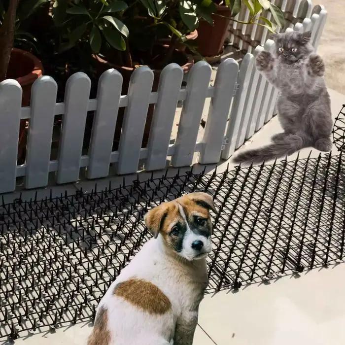Tapis anti-chats et chiens noir/blanc pour jardin, avec picots dissuasifs, bande anti-crevaison, fou