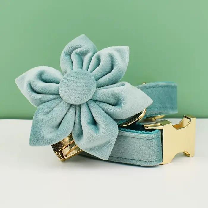 Ensemble collier et laisse pour chien en velours vert, pour chiens de petite, moyenne et grande tail