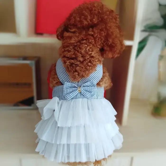 Robe d'été en dentelle pour chien et chat, vêtements pour animaux de compagnie, jupe à rayures Chihu