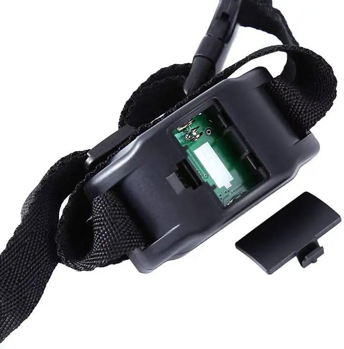 Collier électrique anti-aboiement pour petit animal de compagnie, tonalité sans aboiement, entraînem