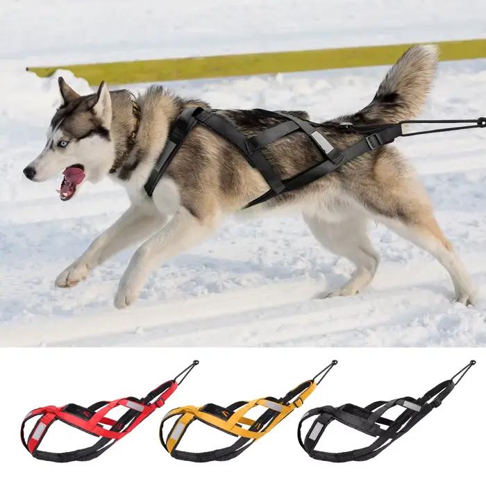 Traîneau à chiens étanche SFP Casting, Skijoring pour animaux de compagnie, grand chien, traction de