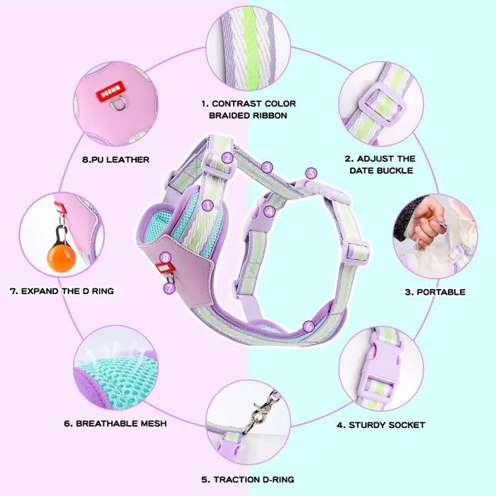 Harnais bloc de couleur pour petits chiens, marche, maille Corgi respirante, collier pour animaux de