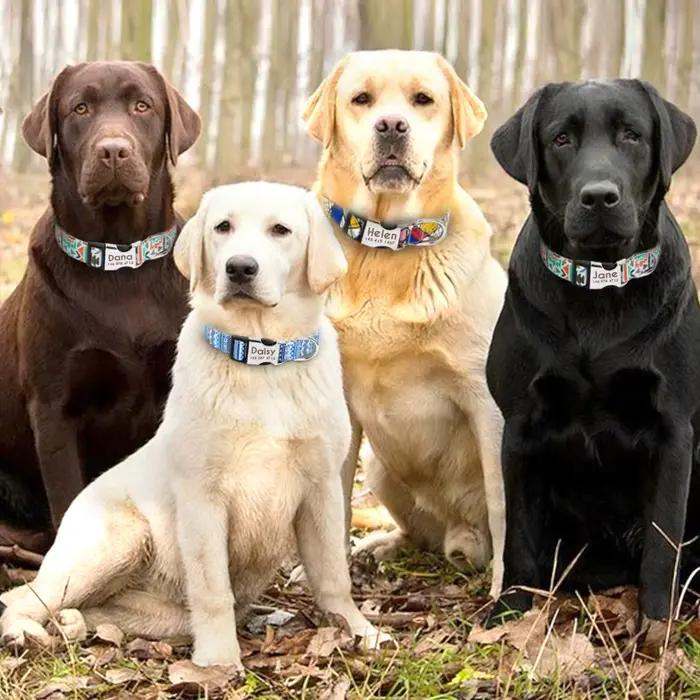 Collier de chien en nylon réglable colliers d'identification de chat de chiens personnalisés avec bo