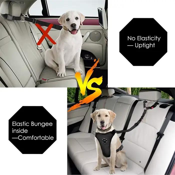 Ceinture de sécurité de voiture Casting pour animaux de compagnie, chiot, promenade, voyage, accesso