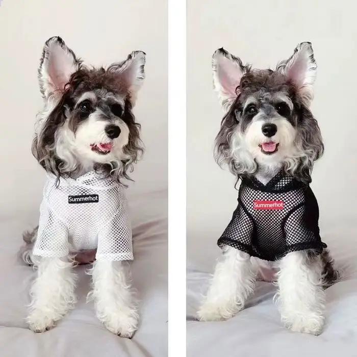 Sweat à capuche en maille pour chien, pull léger pour animaux de compagnie, vêtements pour petits et