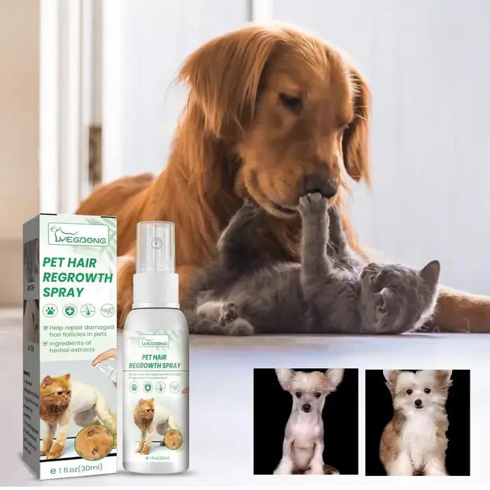 Traitements contre la perte de cheveux pour chiens, suppléments pour chiens et chats, ingrédient sûr