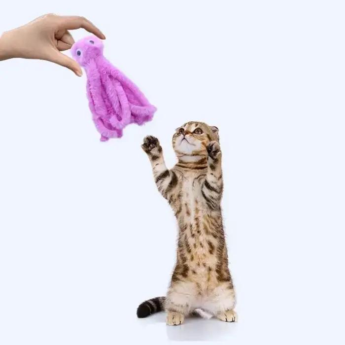 Jouet en peluche poulpe mignon pour chat, dents résistantes aux morsures, jeu interactif, fourniture