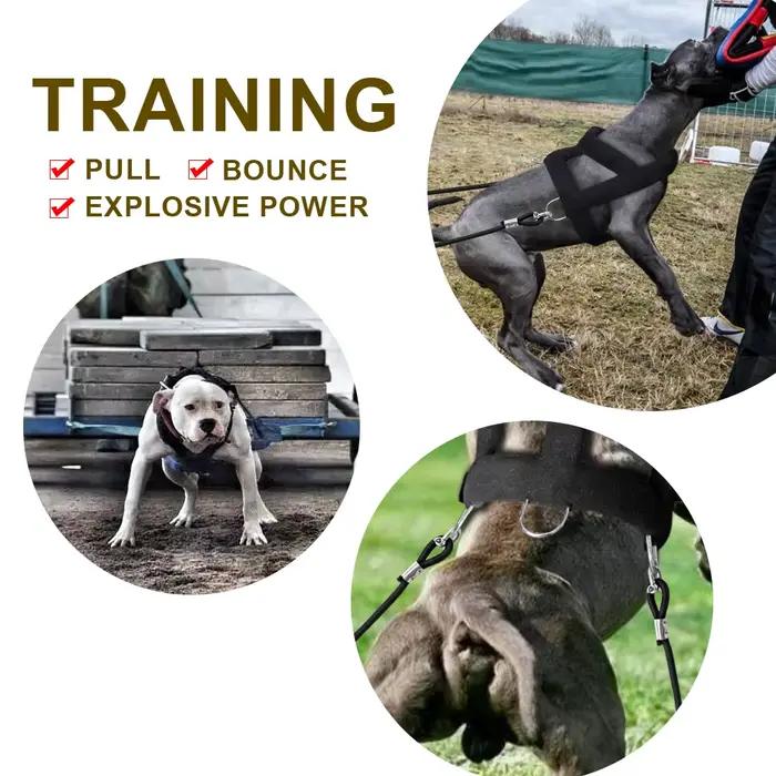 Harnais d'entraînement de traction de poids réglable pour chien, laisse de traction pour chiens de t