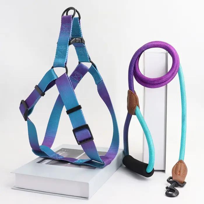 Harnais coloré pour animaux de compagnie avec laisse et laisse pour chien, utilisation intérieure et