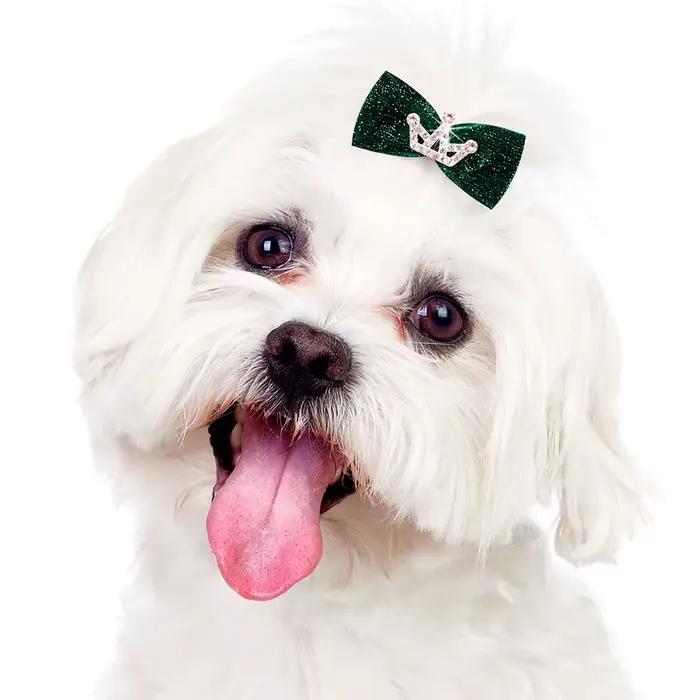 10 pièces paillettes chiens arc épingle à cheveux chiot couronne arc Clips pour chien reine chat chi