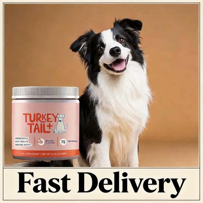 Granulés probiotiques doux pour chiens
