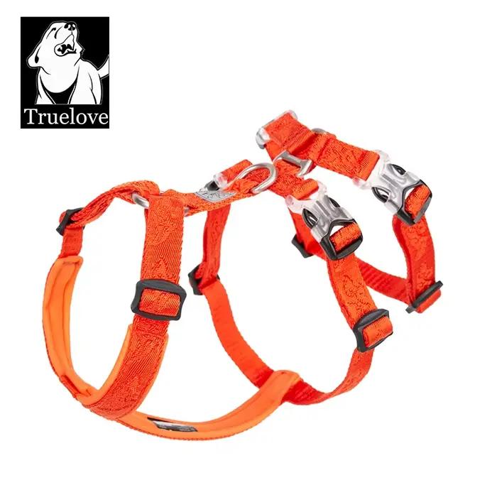 Nylon SFP Double-H personnalisé pour chien