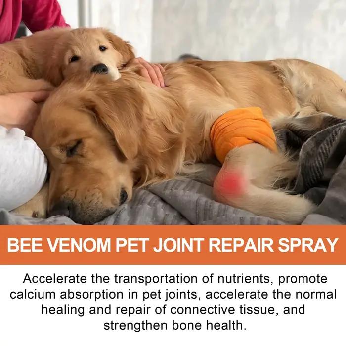 Spray de réparation des articulations pour animaux de compagnie