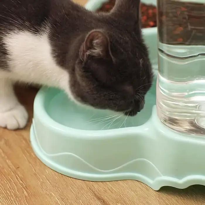 Nouveau Fournitures pour animaux de compagnie chat alimentation chien distributeur de nourriture mangeoire