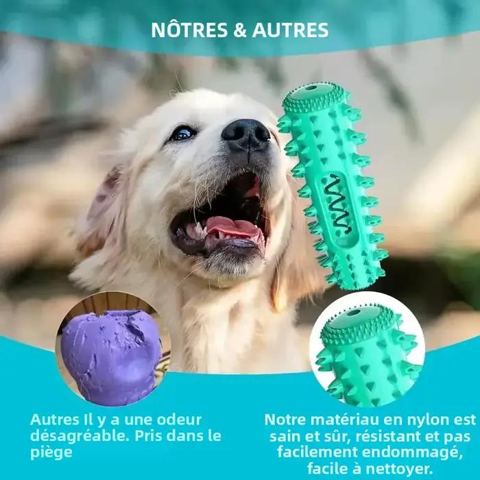 Bâton à mâcher dentaire approuvé par le vétérinaire – Jouet de brosse à dents rafraîchissante 3 en 1 pour petits/moyen