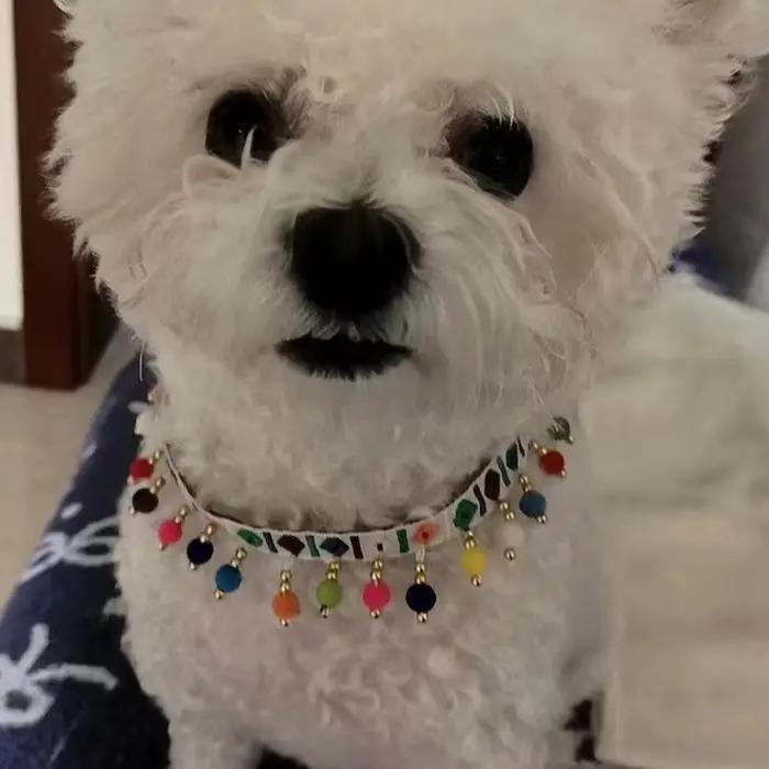 Collier de chat de Style bohème rétro