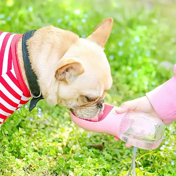Bouteille d'Eau Portable Personnalisée pour Chien et Chat