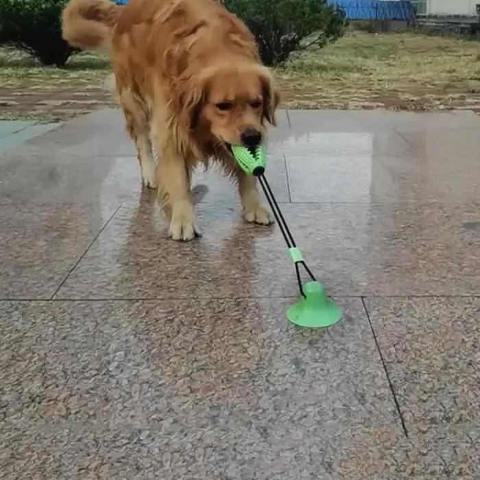 Jouets à mâcher pour chiens