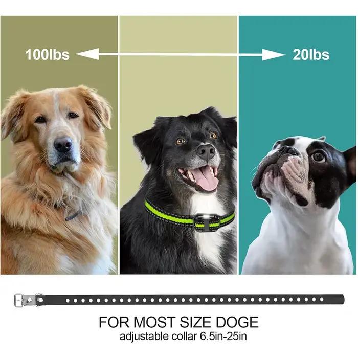 Collier de dressage électrique pour chien