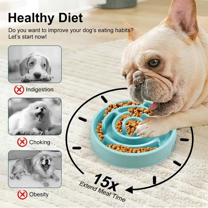 Bol d'alimentation lente pour chien de compagnie