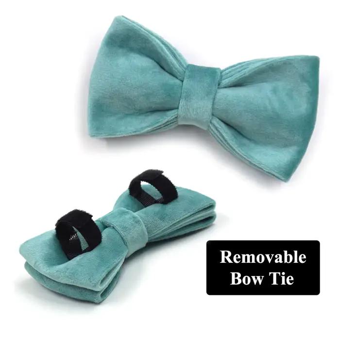 Collier de chien personnalisé Tiffany Blue SFP pour animal de compagnie