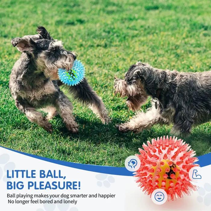 Balle de tennis en caoutchouc pour animaux de compagnie