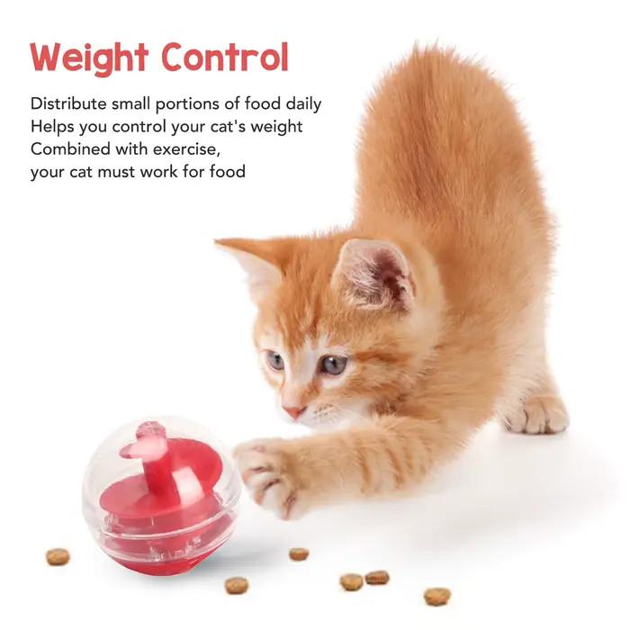 Boule de morsure interactive pour animaux de compagnie