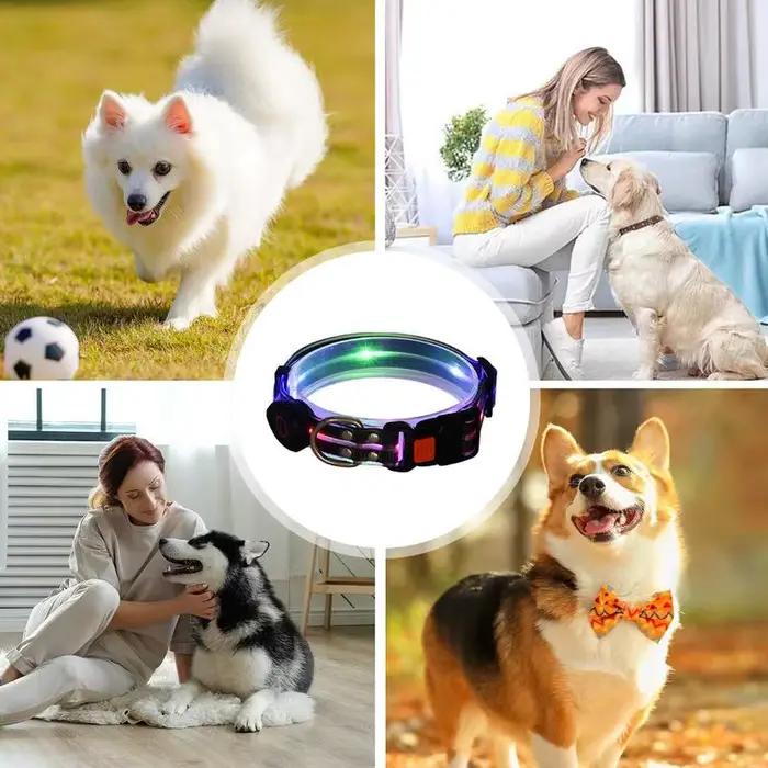 Collier lumineux pour chien rechargeable