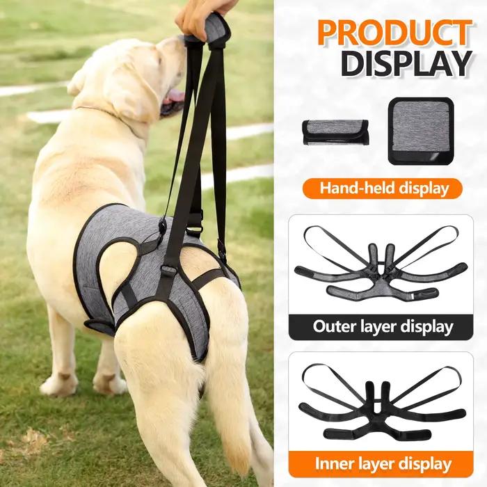 Harnais de levage pour chien