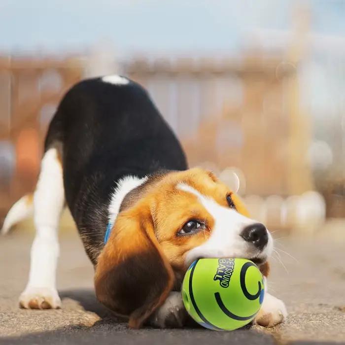 Super vente jouet pour chien Wobble Wag Giggle balle interactive
