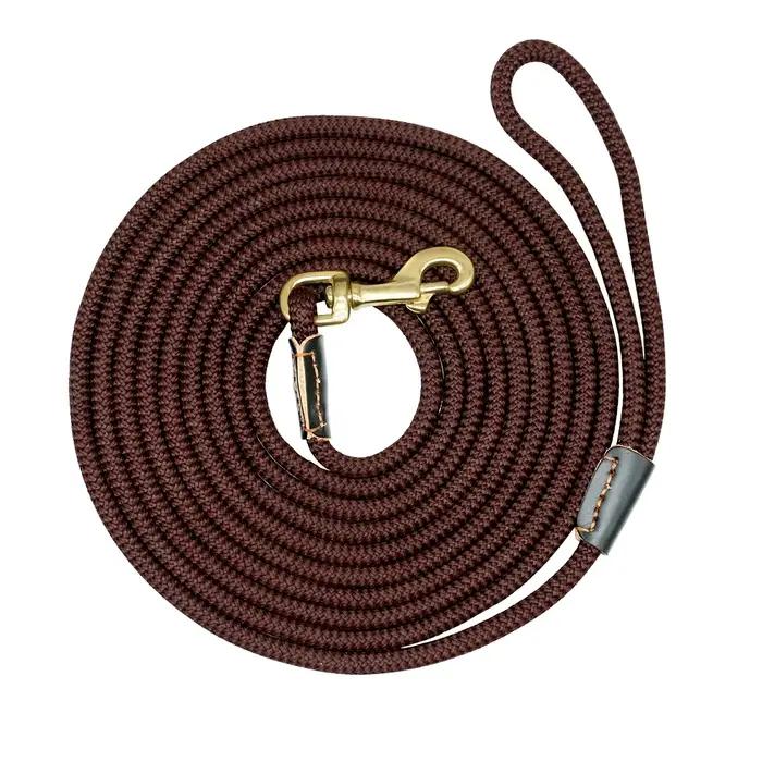 Laisse en Nylon pour chien