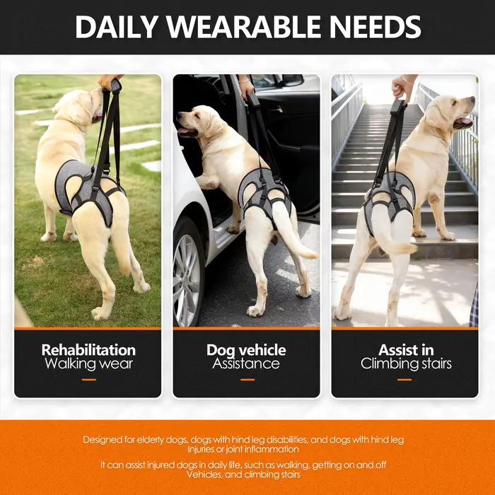 Harnais de levage pour chien