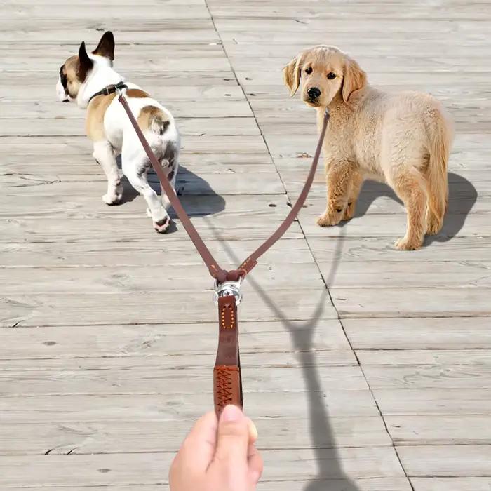 Laisse pour chien à 2 voies