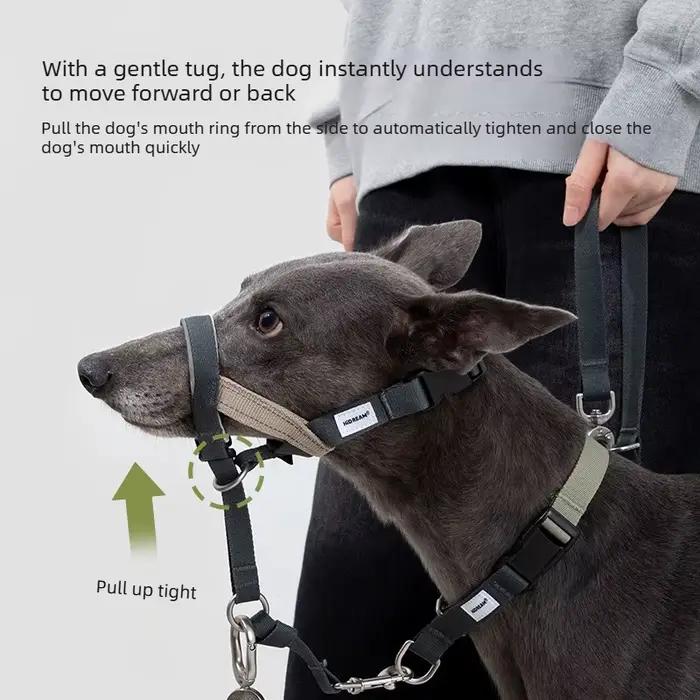 Muselière pour chien pour la traction et l'entraînement – Contrôle latéral ajustable