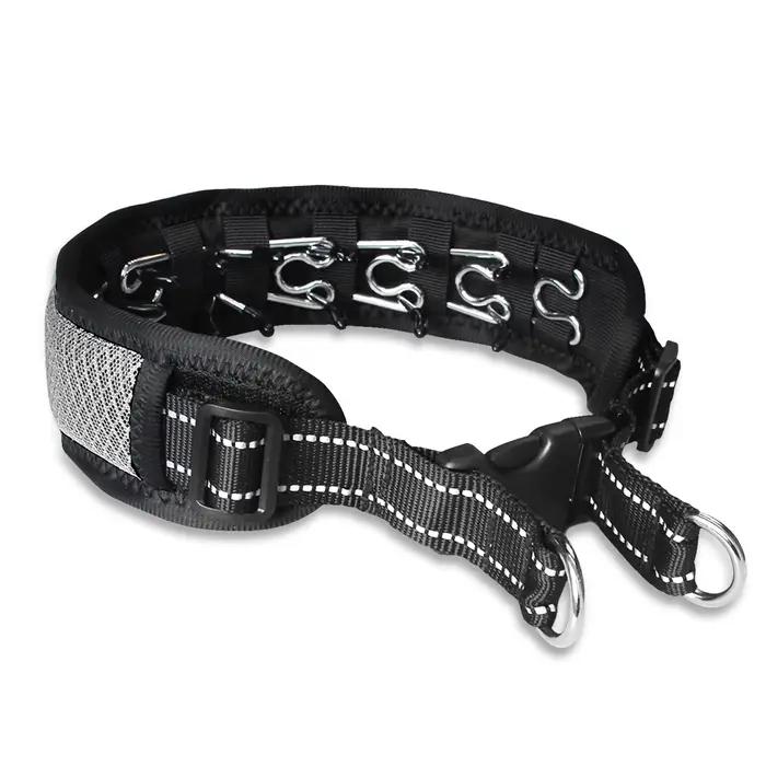 Collier d'entraînement anti-choc pour chien avec barbelures