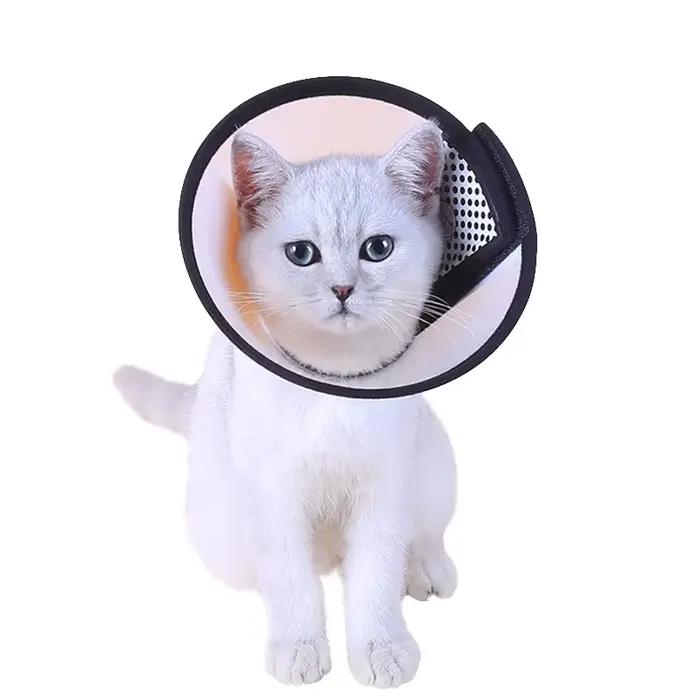 Collier de protection pour animaux de compagnie