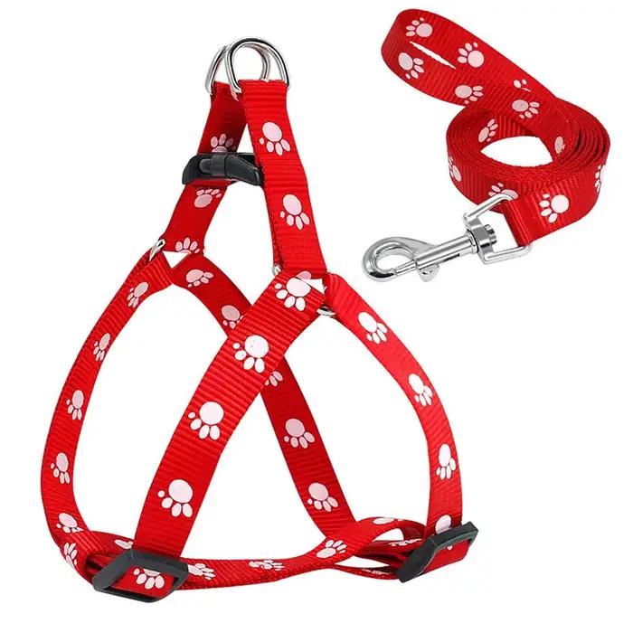 Ensemble harnais et laisse triangulaires pour chien