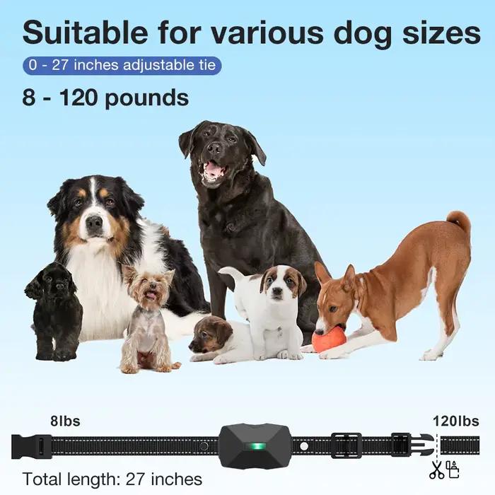 Collier de dressage électrique pour chien 800m