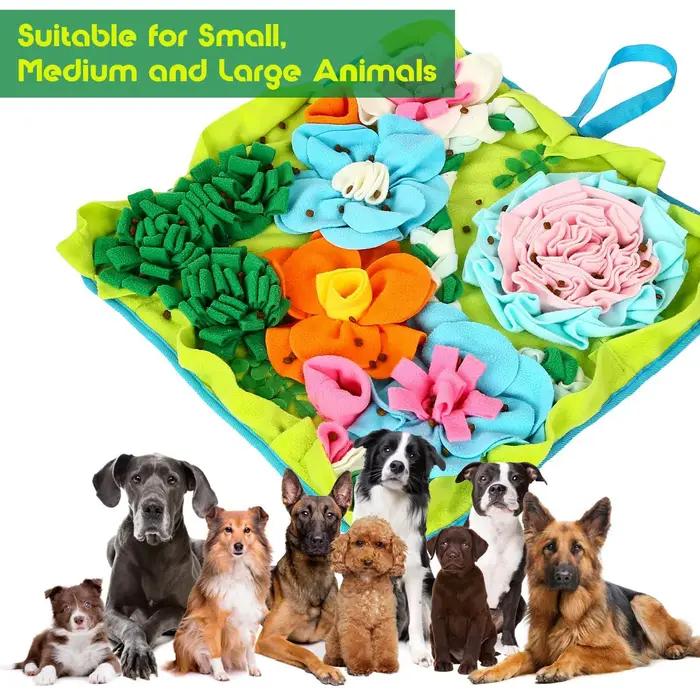 Tapis de dressage pour chien