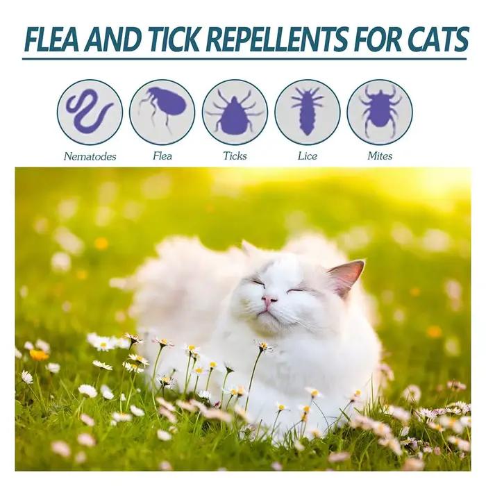 Gouttes anti-puces pour animaux de compagnie – Élimination des puces